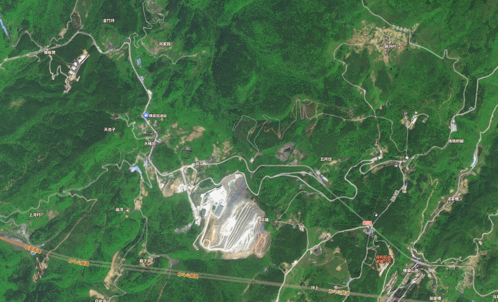 百度卫星图10年前森林原景